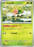 Shaymin 6