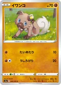 Rockruff 40