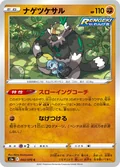 Passimian 43