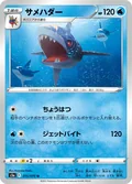 Sharpedo 15