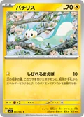 Pachirisu 33
