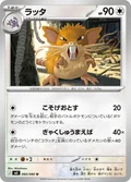 Raticate 60
