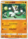 Passimian 38