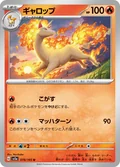Rapidash 78