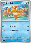 Buizel 15