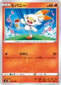 Scorbunny 22