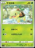 Turtwig 6