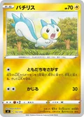Pachirisu 143