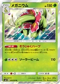 Meganium 5