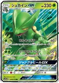 Sceptile Gx 10