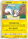 Pachirisu 21