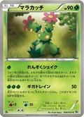 Maractus 1St Edition 8