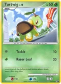 Turtwig 17