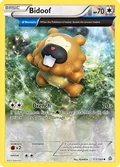 Bidoof 117