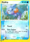 Mudkip 10