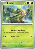 Tropius 7