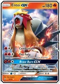 Entei Gx 10