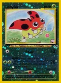 Ledyba 7