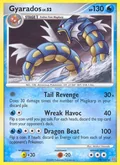 Gyarados 19