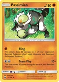 Passimian 73