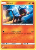 Litten 20