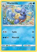 Wartortle 24