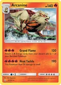 Arcanine 22