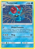 Tentacruel 41