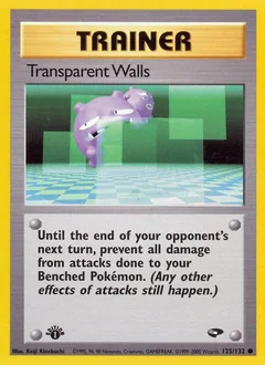 Transparent Walls (1st Edition)