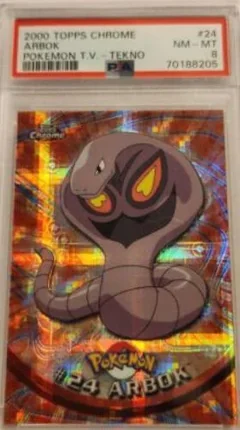 Arbok Tekno 24