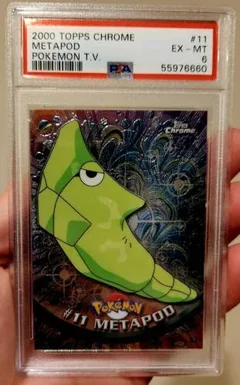 Metapod 11