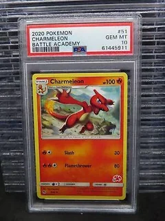 Charmeleon 51