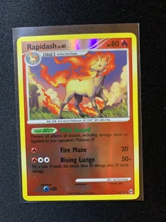 Rapidash Reverse Holo 28
