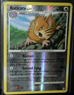 Raticate Reverse Holo 29