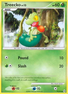 Treecko 79