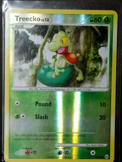 Treecko Reverse Holo 79