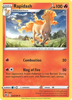 Rapidash 22