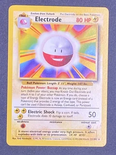 Electrode 1999 2000 21