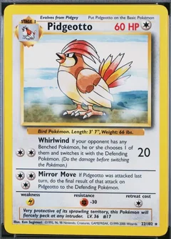 Pidgeotto 1999 2000 22
