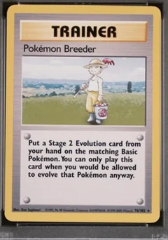 Pokemon Breeder 1999 2000 76