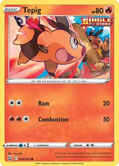 Tepig 23