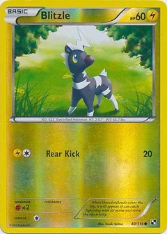 Blitzle Reverse Holo 40