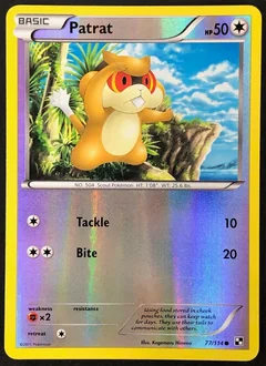 Patrat Reverse Holo 77