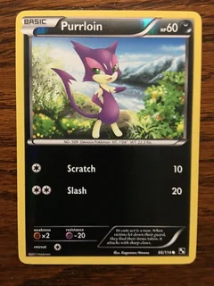 Purrloin Reverse Holo 66