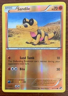 Sandile Reverse Holo 63