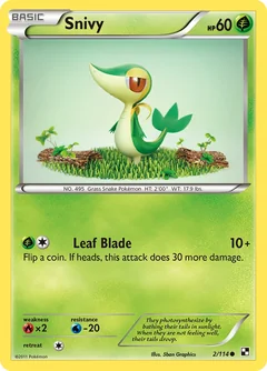 Snivy 2