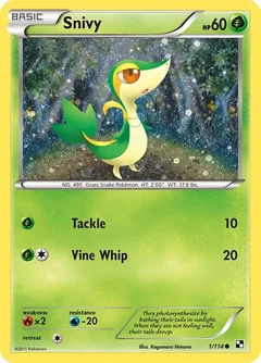 Snivy Cosmos Holo 1