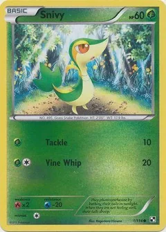 Snivy Reverse Holo 1