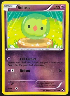 Solosis Reverse Holo 55