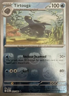 Tirtouga Master Ball 22